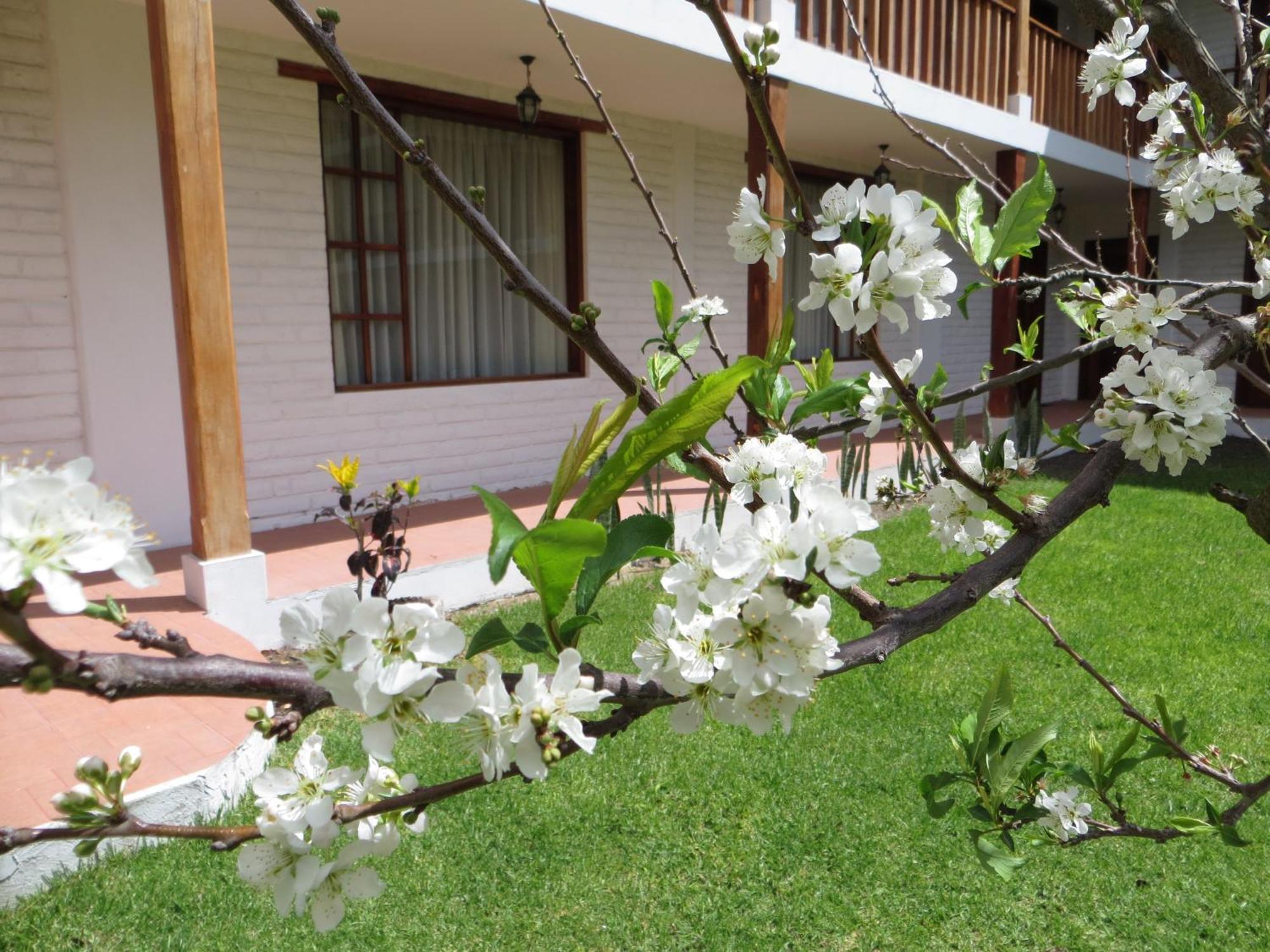 Hotel La Quinta San Andres Ibarra Exteriér fotografie
