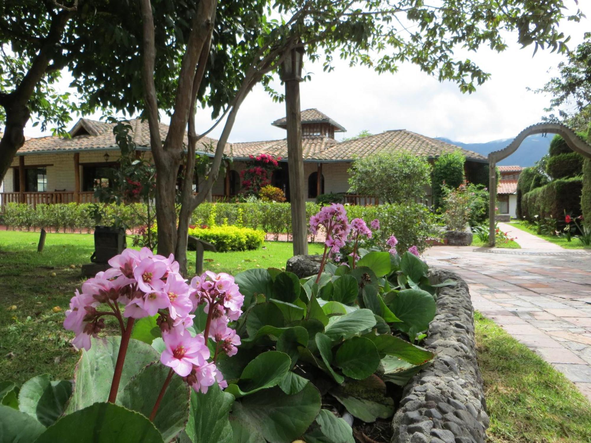 Hotel La Quinta San Andres Ibarra Exteriér fotografie