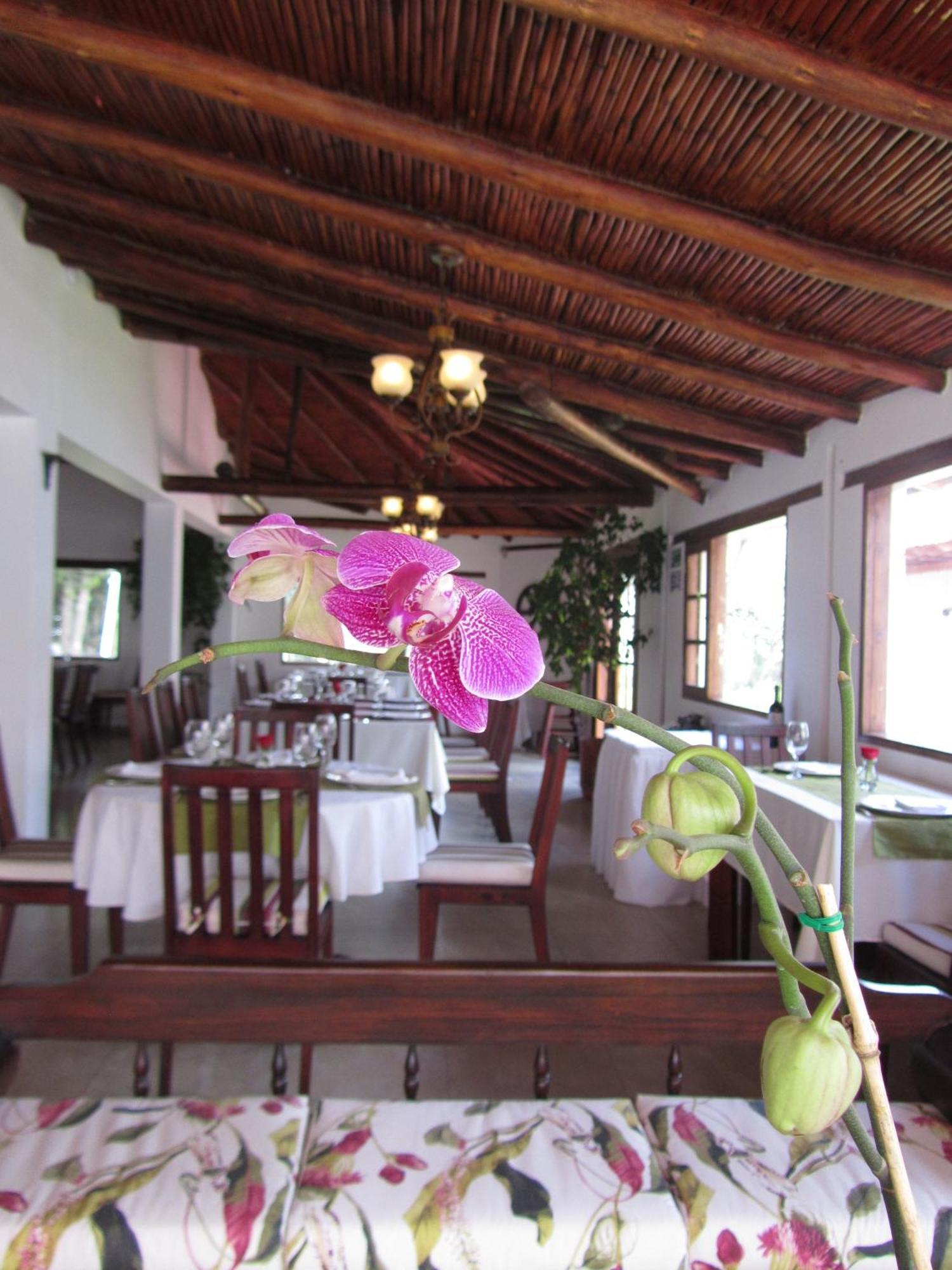 Hotel La Quinta San Andres Ibarra Exteriér fotografie